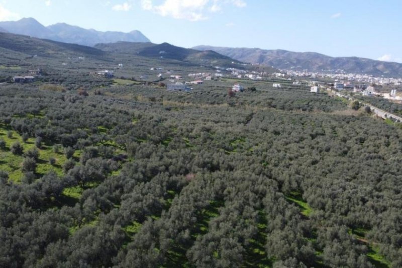 Kaloudiana Kreta - Kaloudiana: Schönes Grundstück mit Berg- und Meerblick Grundstück kaufen